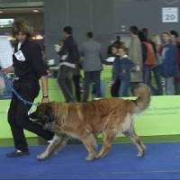 Salzburg Clubschau Mai 06 136 